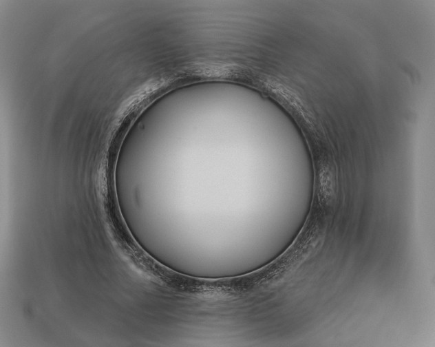 X0000112940682200909071055