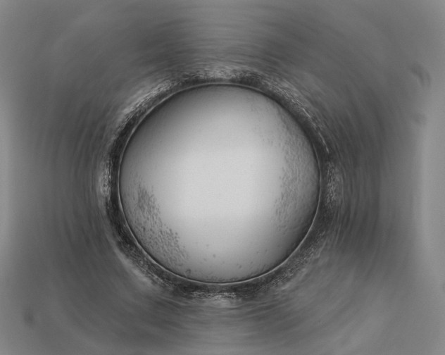 X0000112940683200909071055