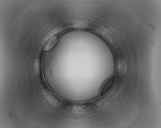 X0000112940684200909071055