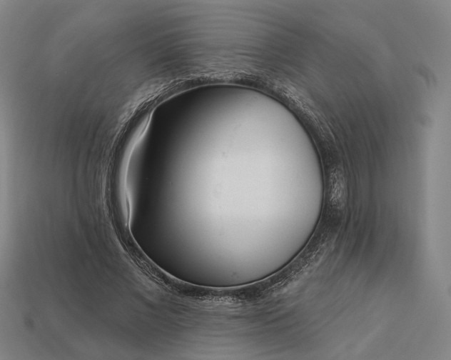 X0000112940685200909071055