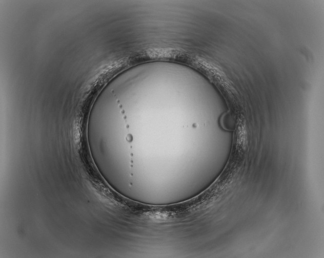 X0000112940687200909071055