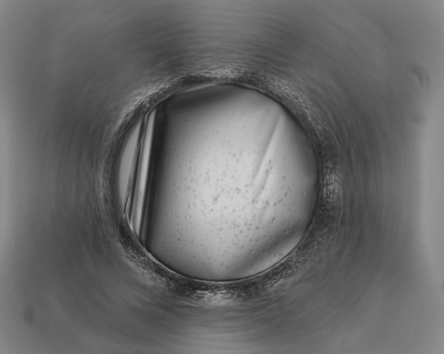 X0000112940688200909071055