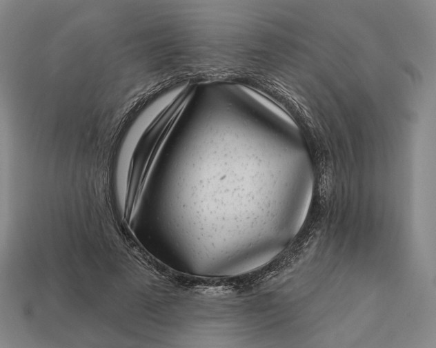 X0000112940689200909071055