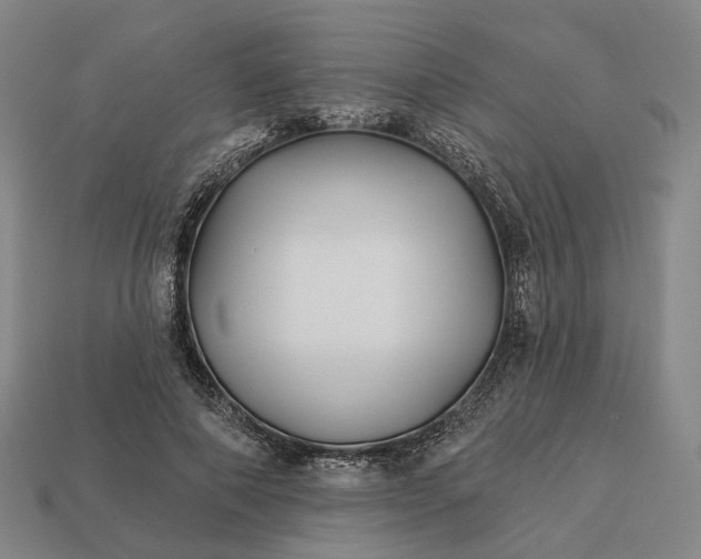 X0000112940690200909071055