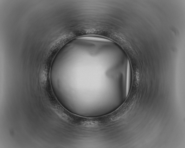 X0000112940691200909071055