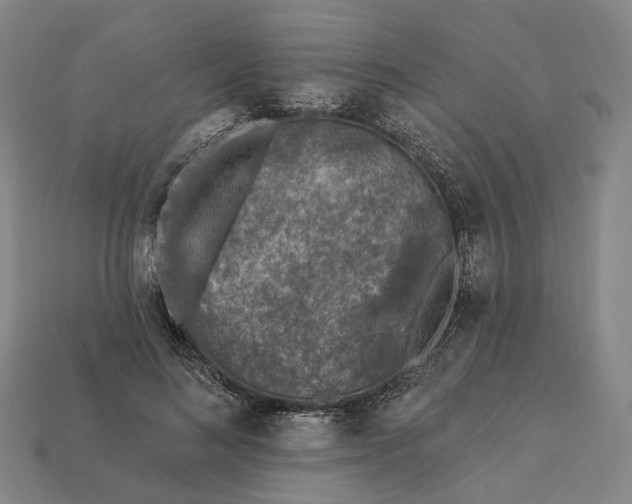 X0000112940692200909071055