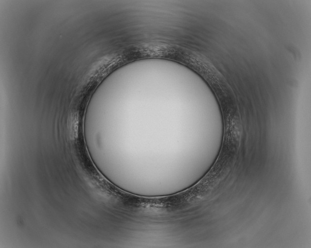 X0000112940694200909071055