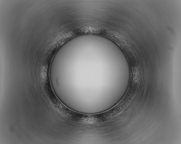 X0000112940695200909071055