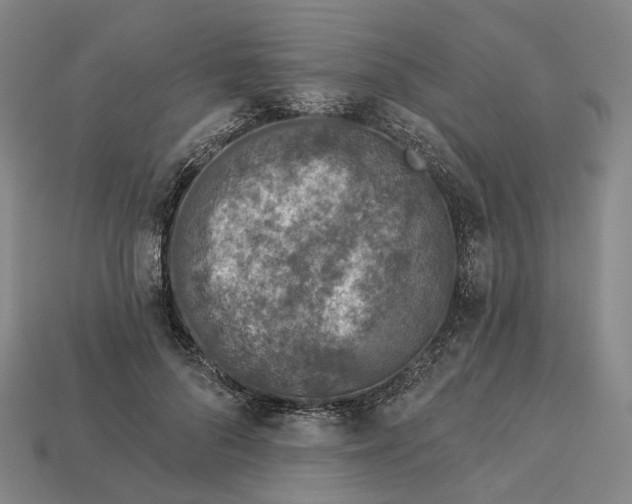 X0000112940696200909071055