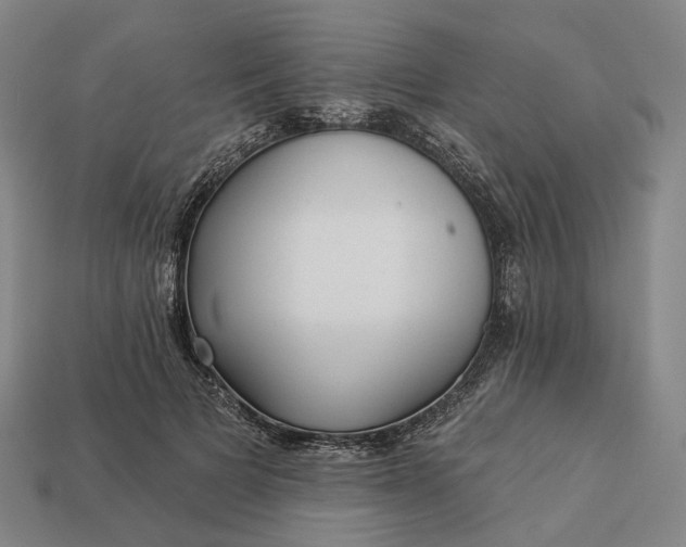 X0000112940697200909071055