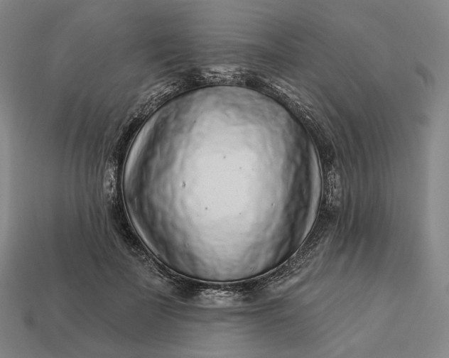 X0000112940699200909071055