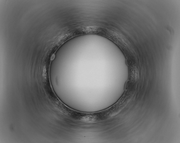 X0000112940700200909071055