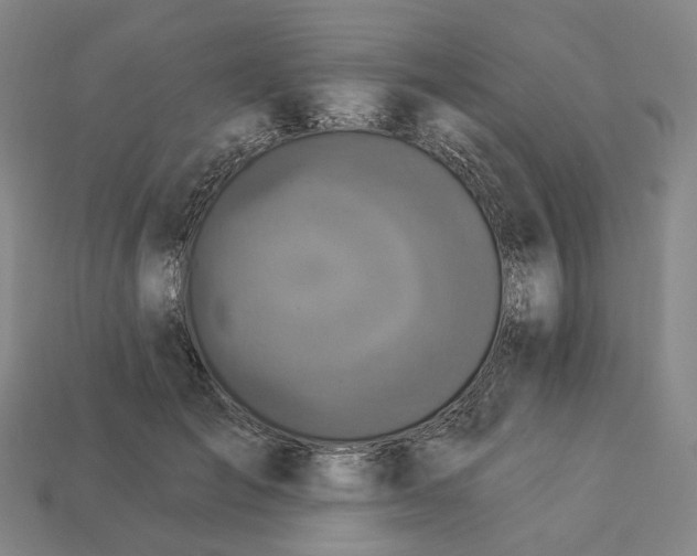 X0000112940701200909071055