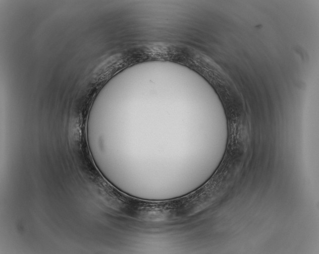 X0000112940702200909071055