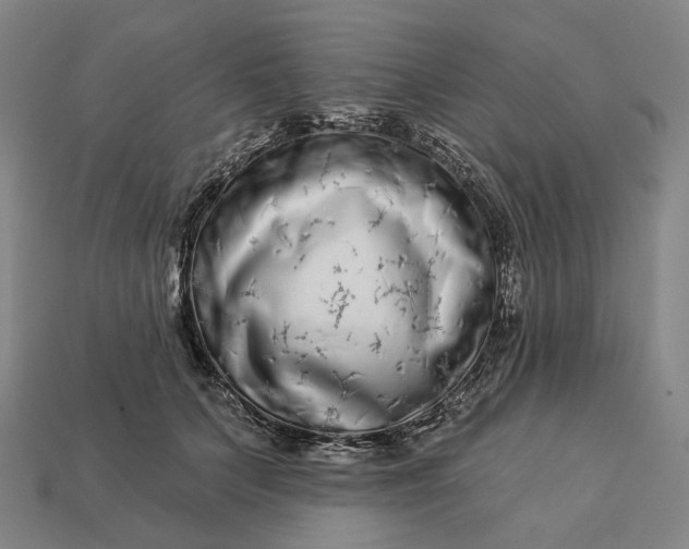 X0000112940703200909071055