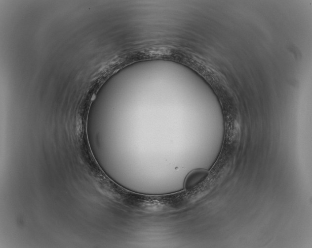 X0000112940704200909071055