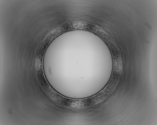 X0000112940705200909071054