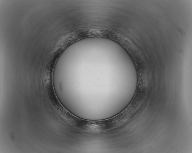 X0000112940706200909071054