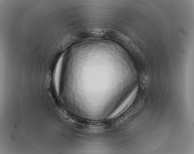 X0000112940707200909071054