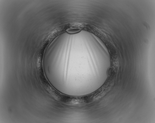 X0000112940708200909071054