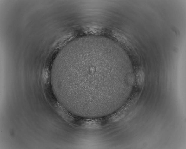 X0000112940709200909071054