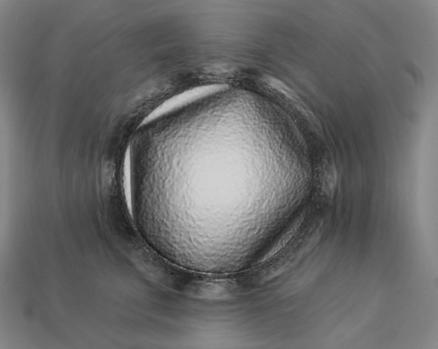 X0000112940711200909071054