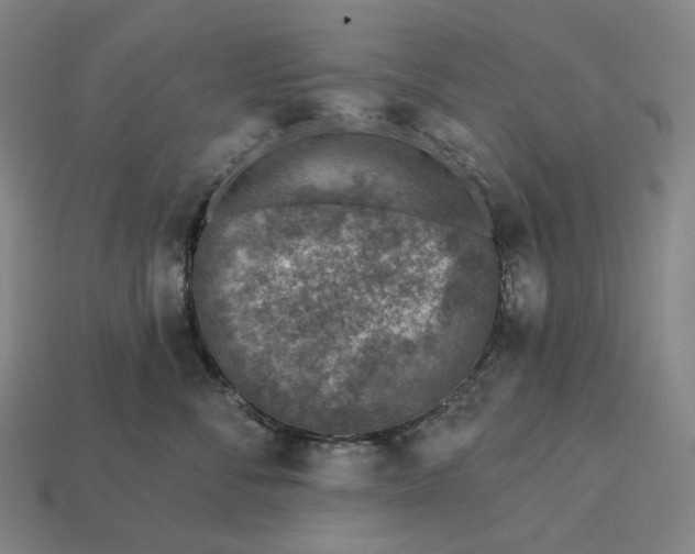 X0000112940716200909071054