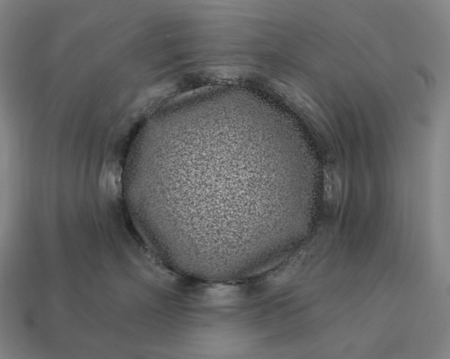 X0000112940718200909071054