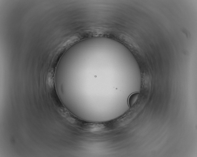 X0000112940719200909071054