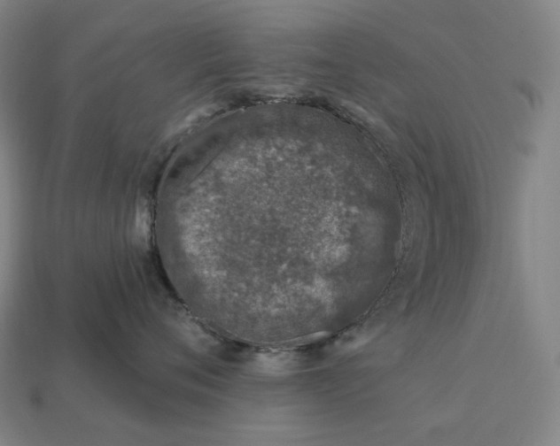 X0000112940720200909071054