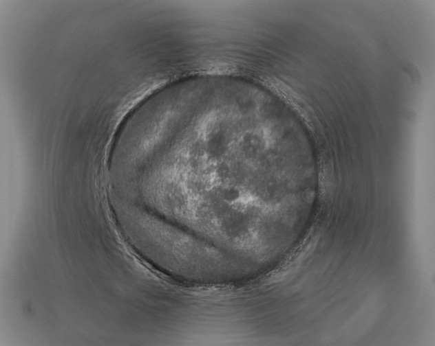 X0000112940721200909071054