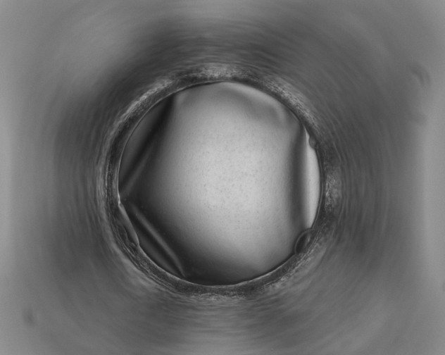 X0000112940722200909071054