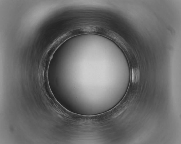 X0000112940723200909071054