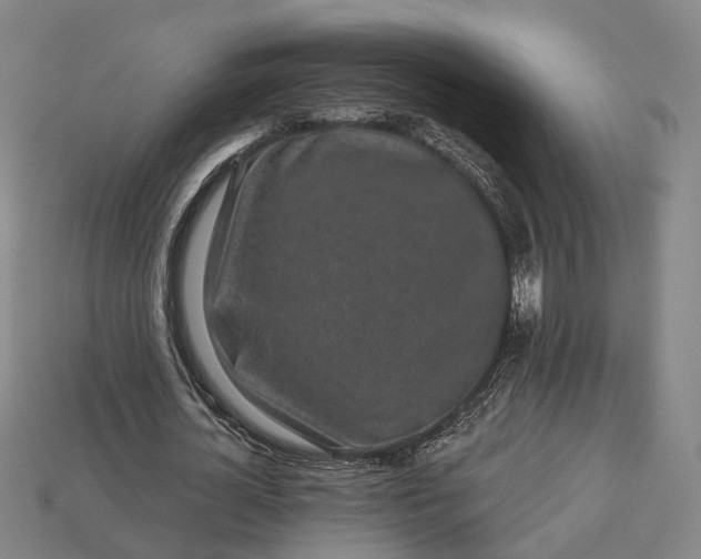 X0000112940724200909071054