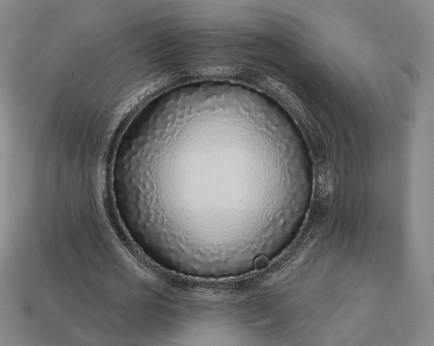 X0000112940725200909071054