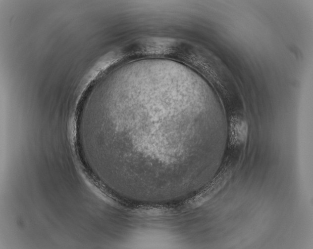 X0000112940726200909071054