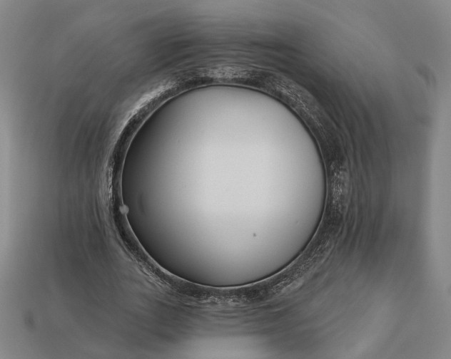 X0000112940727200909071054