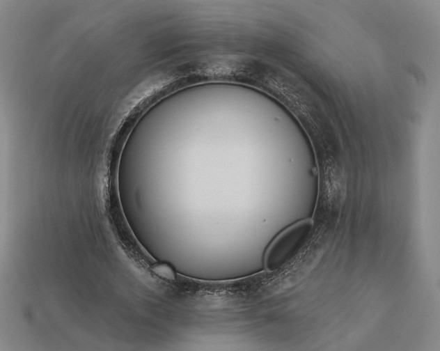 X0000112940728200909071054