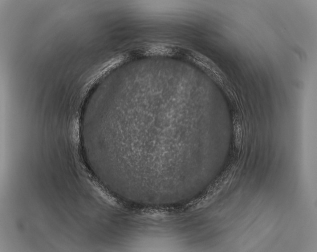 X0000112940729200909071054