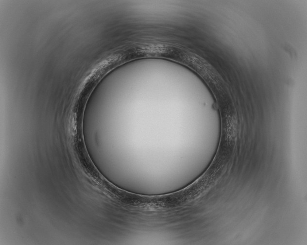 X0000112940731200909071054