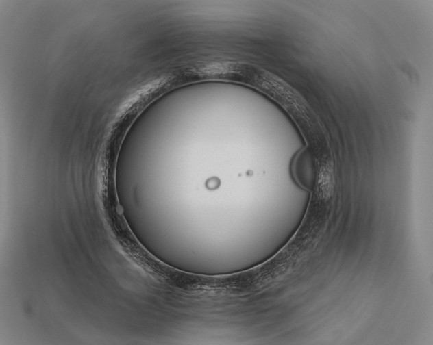 X0000112940732200909071054