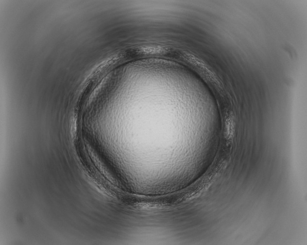 X0000112940733200909071054