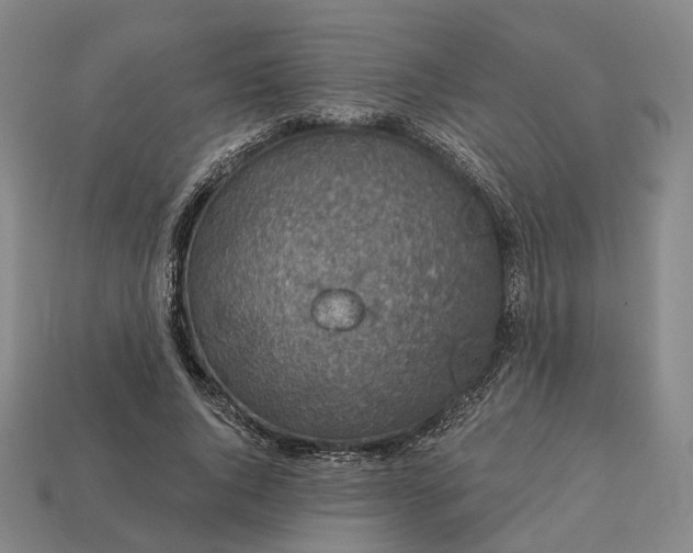 X0000112940736200909071054