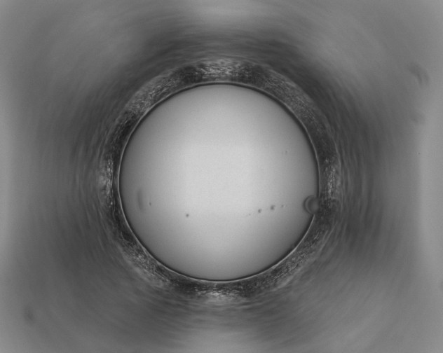 X0000112940737200909071054