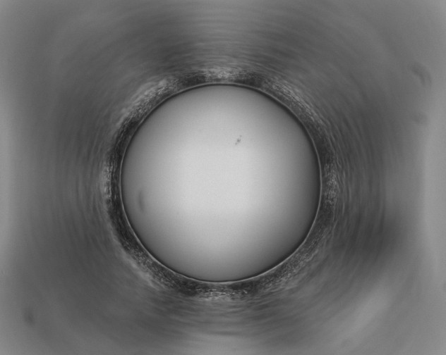 X0000112940738200909071054