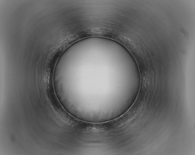 X0000112940739200909071054