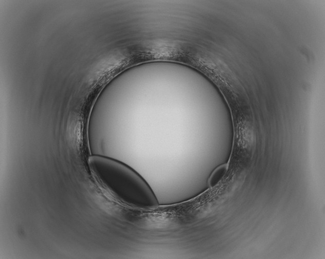 X0000112940740200909071054