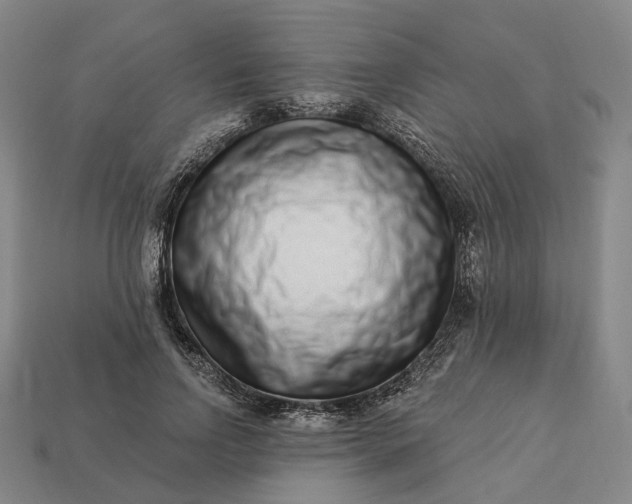 X0000112940742200909071054