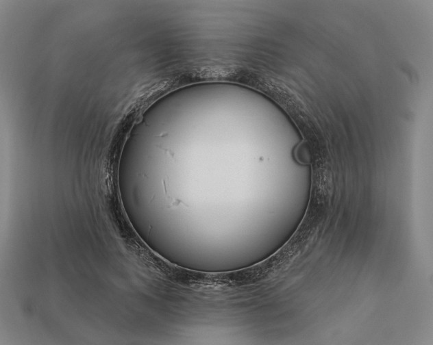 X0000112940743200909071054