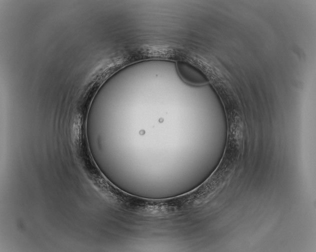 X0000112940744200909071054